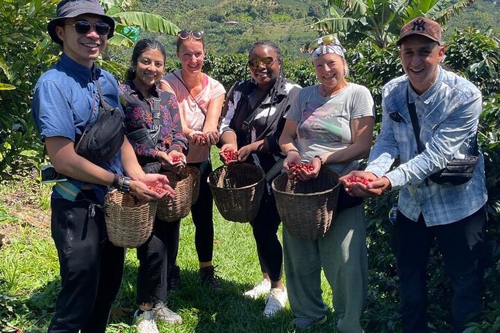 Kaffe- og jeep-tur på Finca Mariposa i Jardin