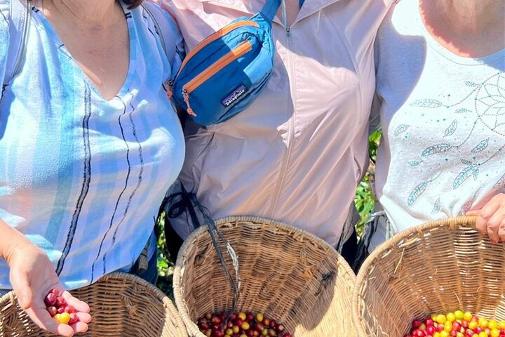Kaffe- og jeep-tur på Finca Mariposa i Jardin