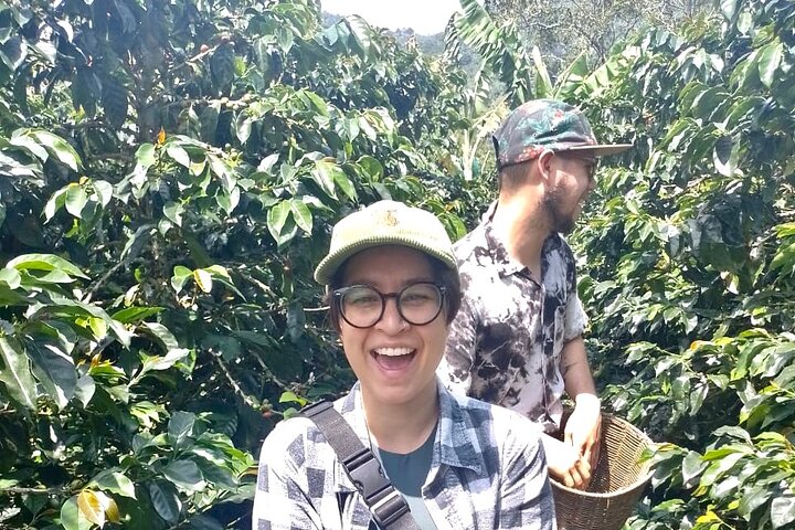 Kaffe- og jeep-tur på Finca Mariposa i Jardin