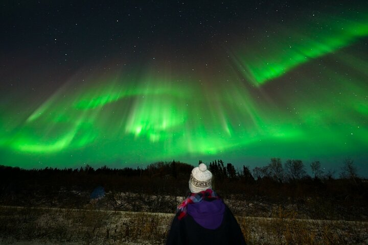 Aurore boréale - Aurore avec photos GRATUITES - Arctic Night Tours