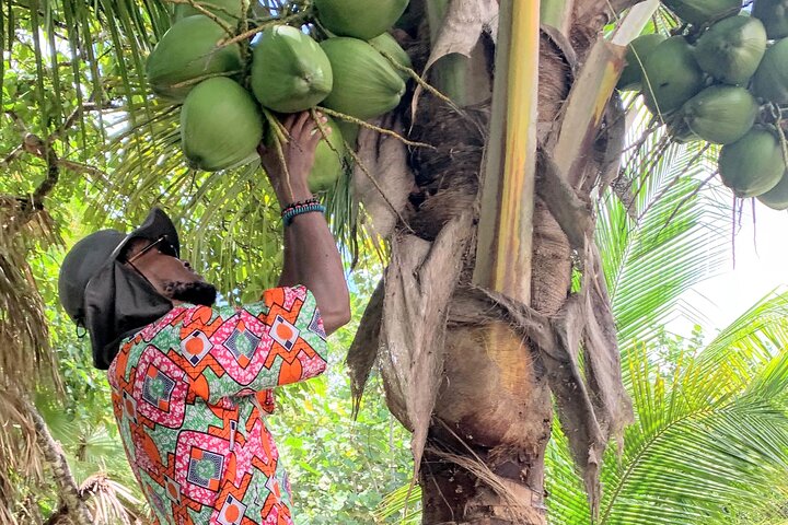 Garifuna kulturelles und kulinarisches Erlebnis in Hopkins, Belize