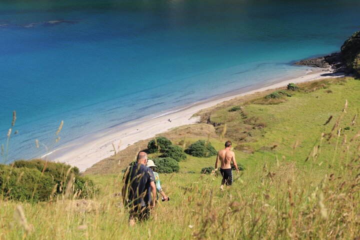 Day Sailing Cruise in Bay of Islands with Lunch & Island Stop