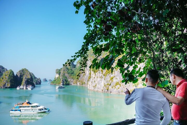 Cruzeiro Premium Cosy Bay – Luxo em Halong Bay 1 Dia - ALMOÇO BUFFET