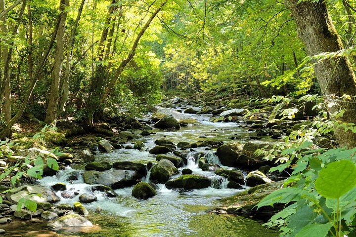 Tour audio autoguidato del Parco nazionale Great Smoky Mountains