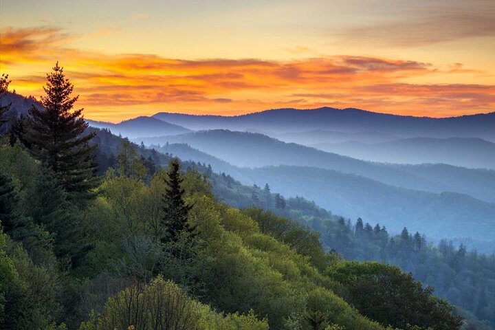 Tour audio autoguidato del Parco nazionale Great Smoky Mountains