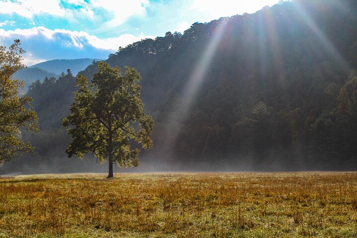 Tour audio autoguidato del Parco nazionale Great Smoky Mountains