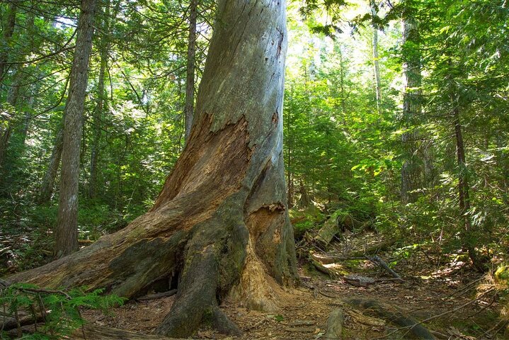 Selbstgeführte Audio-Fahrt auf dem Keweenaw Copper Country Trail