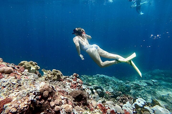Nager avec les raies manta : excursion d'une journée de plongée en apnée au départ de Bali