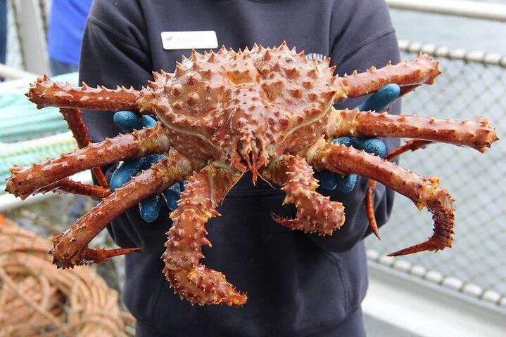 Tour dei pescatori di granchi di mare di Bering da Ketchikan