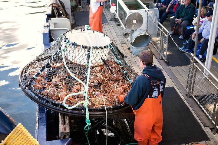 Tour dei pescatori di granchi di mare di Bering da Ketchikan