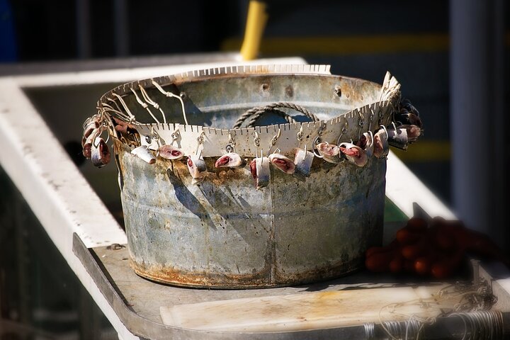 Tour dei pescatori di granchi di mare di Bering da Ketchikan