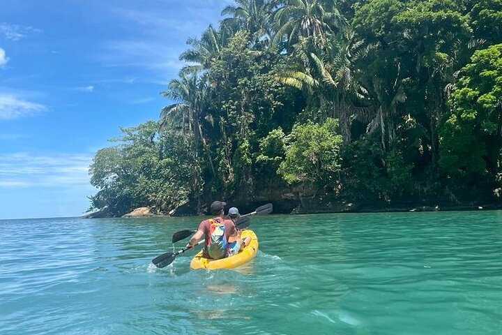Puerto Viejo Tour de Perezosos en la jungla y en el río con kayak