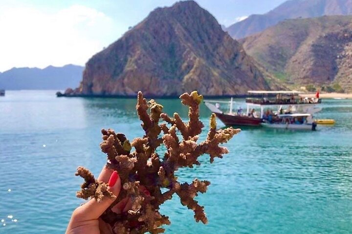 Khasab Dhow Cruise til Musandam Fjords med frokost om bord