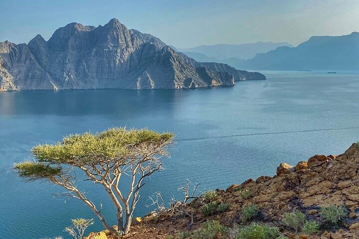 Khasab Dhow Cruise til Musandam Fjords med frokost om bord
