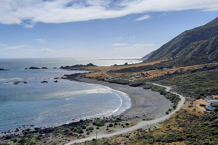 Martinborough Wine and Wild Coast Tour fra Wellington