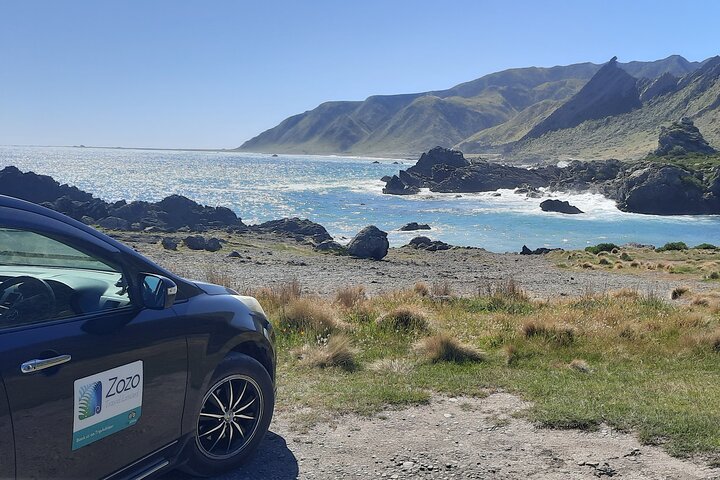 Martinborough Wine and Wild Coast Tour fra Wellington