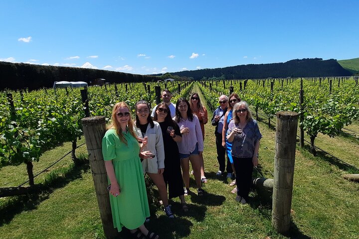 Martinborough Wine and Wild Coast Tour fra Wellington
