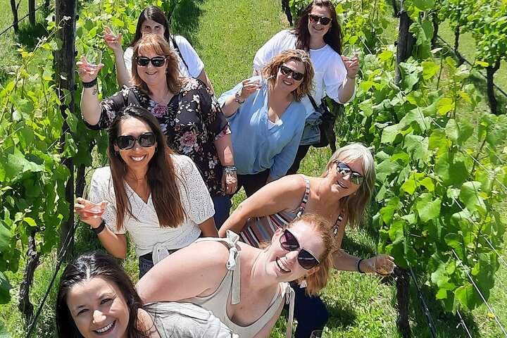 Excursão de meio dia pela vinícola Martinborough saindo de Wellington