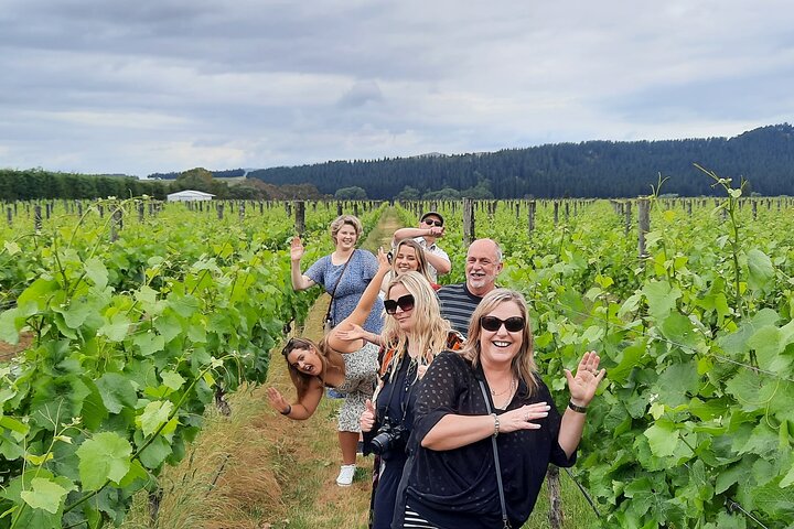 Excursão de meio dia pela vinícola Martinborough saindo de Wellington