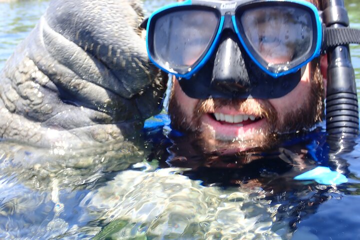 Il tour di snorkeling con lamantino 'OG' con Guida / fotografo in acqua