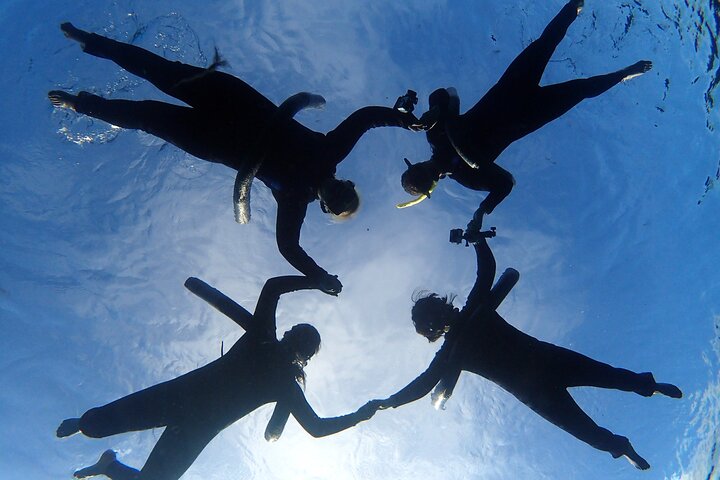 Il tour di snorkeling con lamantino 'OG' con Guida / fotografo in acqua