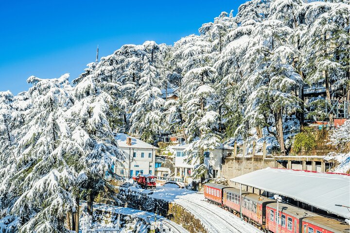 Upptäck Colonial Trails of Shimla 2 timmars guidad vandring