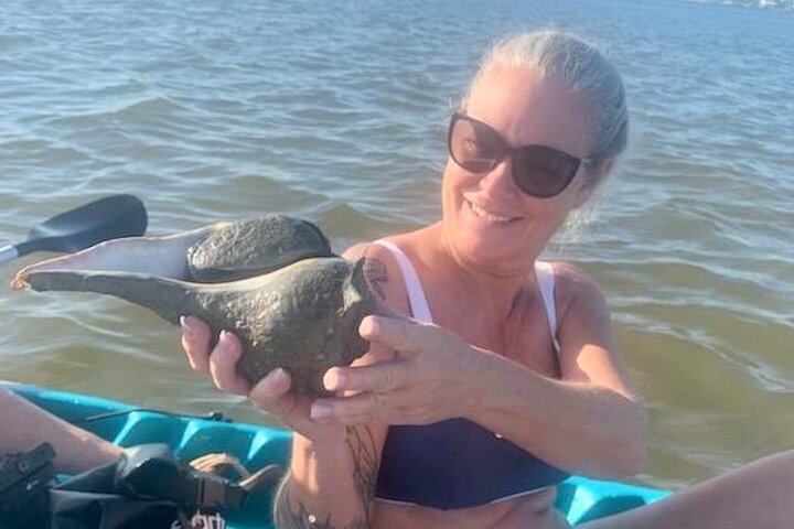 Hoteller i nærheden af Daytona Beach Dolphin & Manatee Kayak Wildlife Adventure