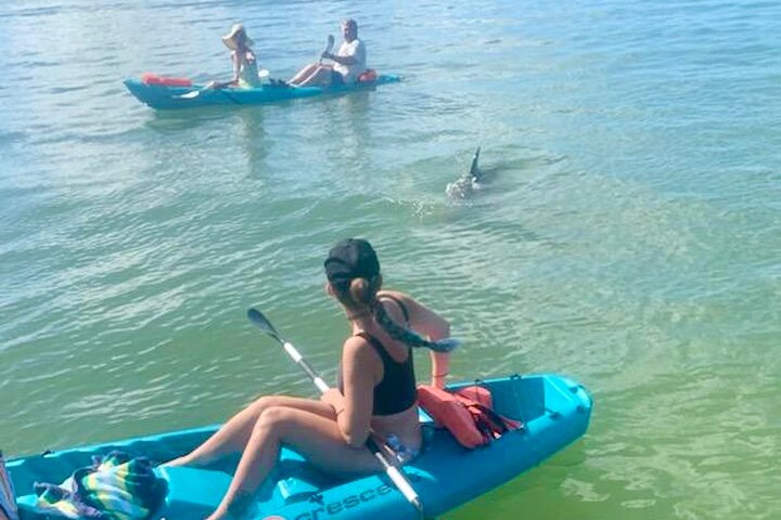 Hoteller i nærheden af Daytona Beach Dolphin & Manatee Kayak Wildlife Adventure