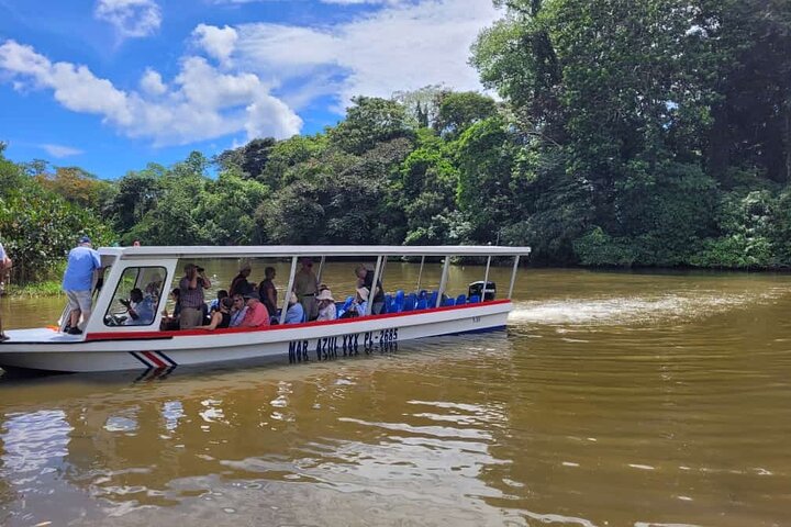 Adventure Combo Tour : aventure en tyrolienne et canaux de Tortuguero