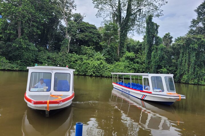 Adventure Combo Tour : aventure en tyrolienne et canaux de Tortuguero