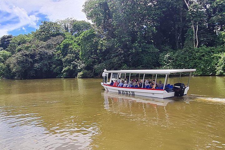 Adventure Combo Tour : aventure en tyrolienne et canaux de Tortuguero