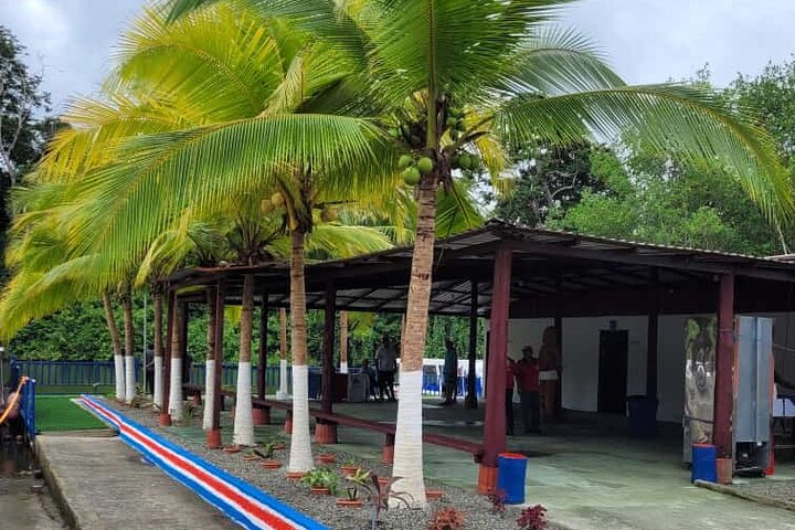 Adventure Combo Tour : aventure en tyrolienne et canaux de Tortuguero