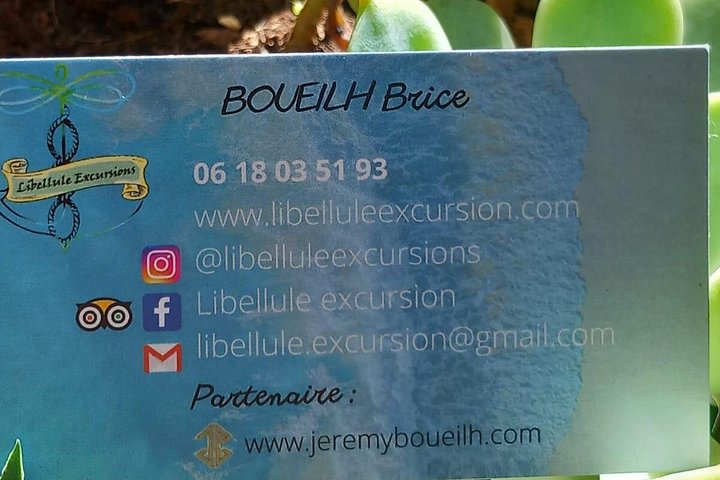One-day boat trip to the lagoon of Guadeloupe