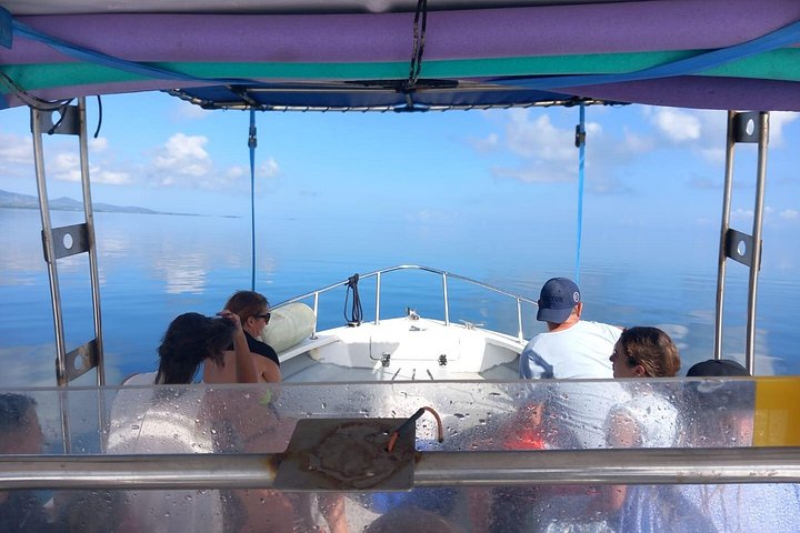 One-day boat trip to the lagoon of Guadeloupe
