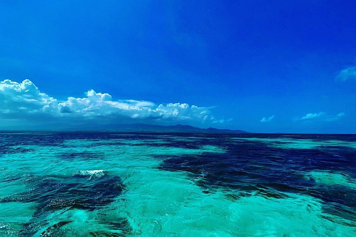 One-day boat trip to the lagoon of Guadeloupe