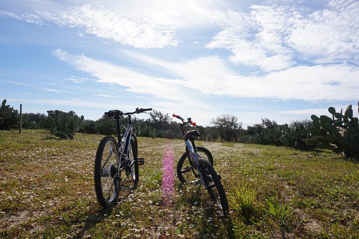 Tour privado de los corchos y las chumberas: visita privada a las fincas de Pepe Aromas
