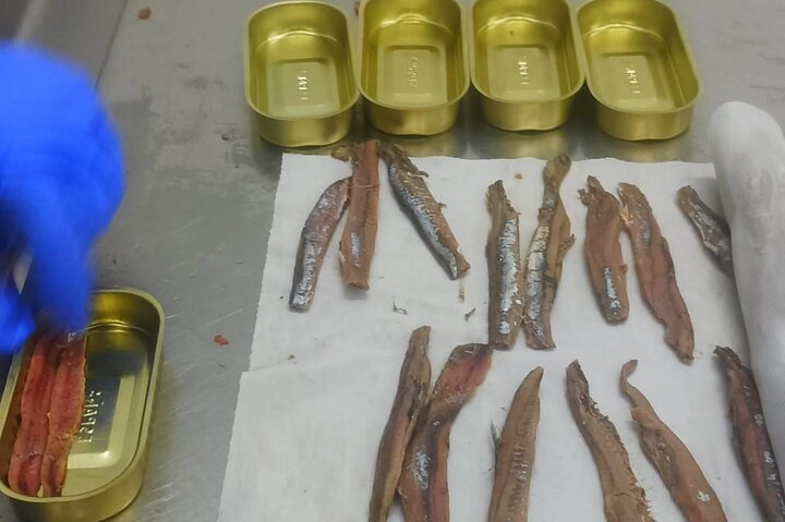 Visite de l'usine d'anchois et des marais de Santoña avec dégustation