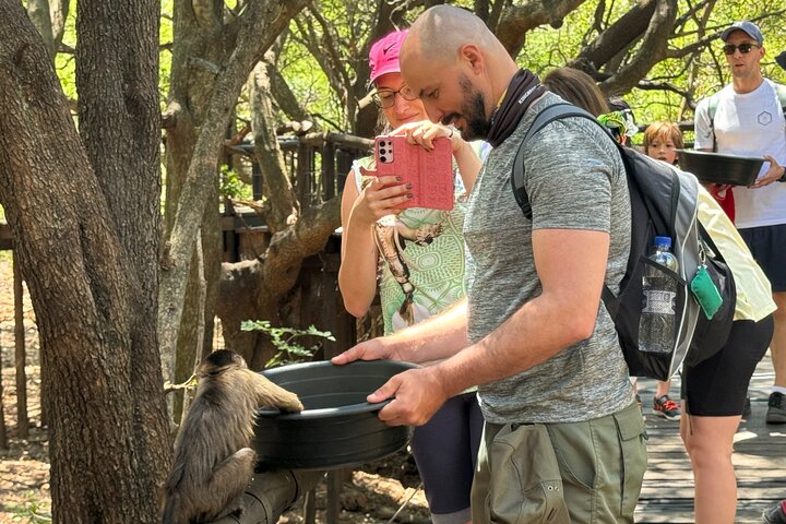 Tour zum Elefanten- und Affenschutzgebiet ab Johannesburg