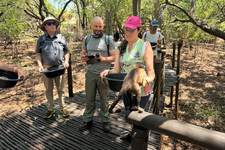 Tour zum Elefanten- und Affenschutzgebiet ab Johannesburg