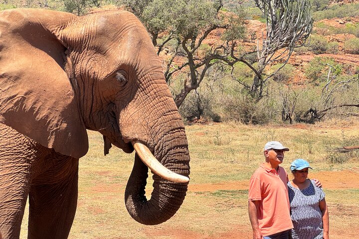 Tour zum Elefantenschutzgebiet ab Johannesburg