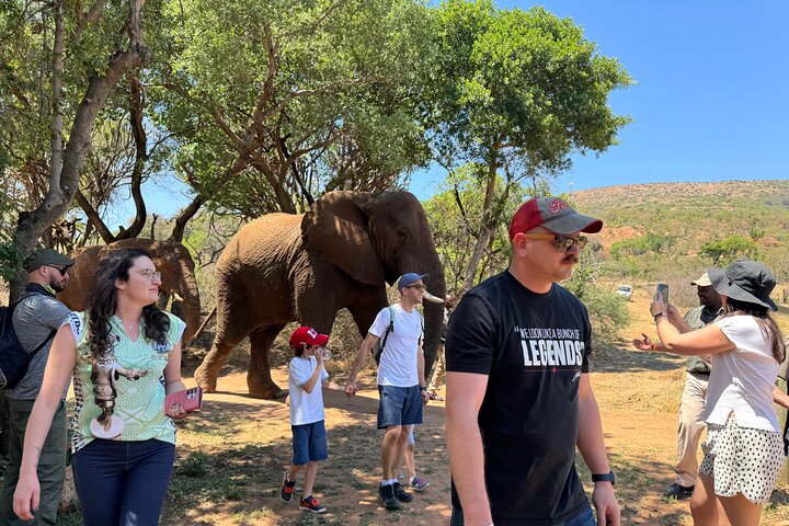 Tour zum Elefanten- und Affenschutzgebiet ab Johannesburg