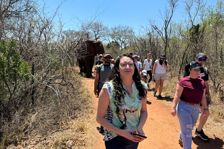 Tour zum Elefantenschutzgebiet ab Johannesburg