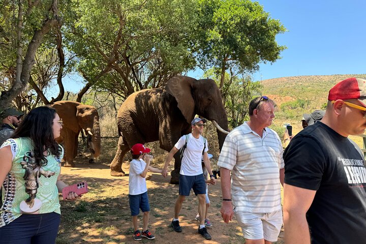Tour zum Elefantenschutzgebiet ab Johannesburg