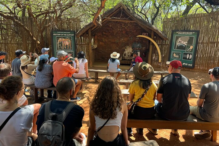 Tour zum Elefantenschutzgebiet ab Johannesburg