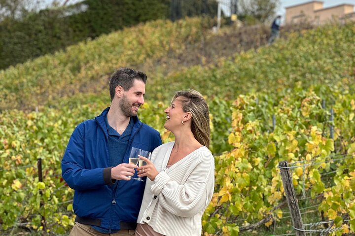 Découvrez Les Caves au Coeur de la Campagne en Champagne