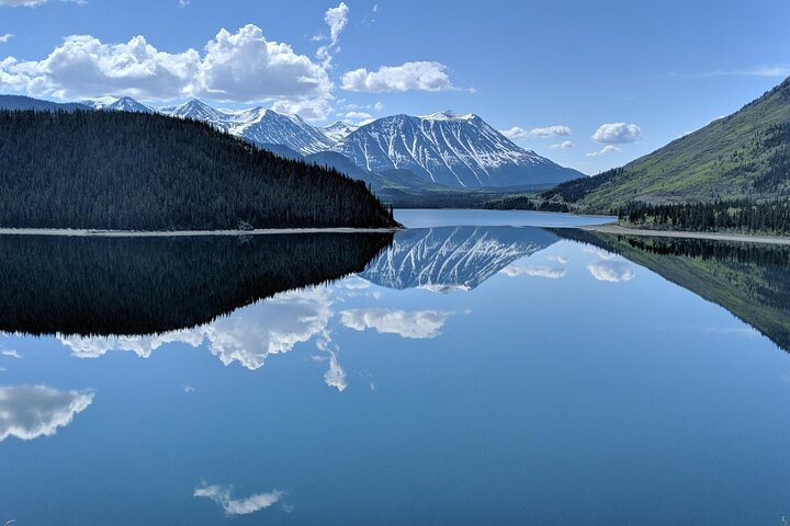 Wild Adventure Yukon Tour till Kanada inklusive City och Summit