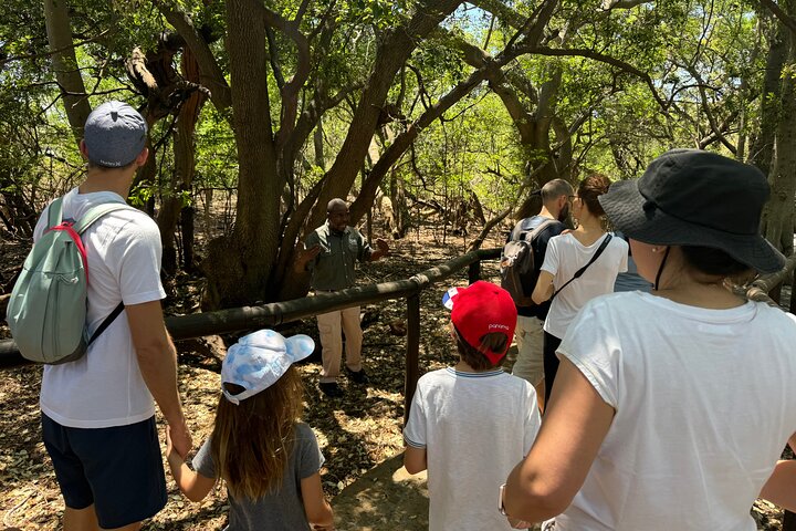 Tour zum Elefanten- und Affenschutzgebiet ab Johannesburg