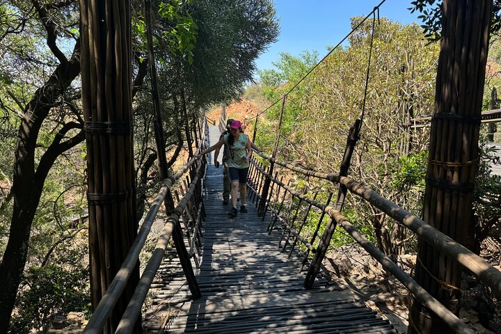 Tour zum Elefanten- und Affenschutzgebiet ab Johannesburg