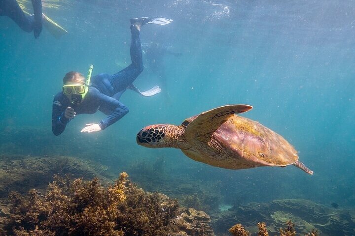 Excursão pela Ilha Magnética de Circunavegação Aquascene