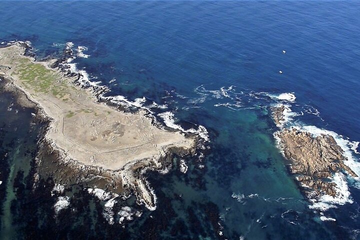 Duiken en bekijken van haaien in een kooi met vervoer vanuit Hermanus